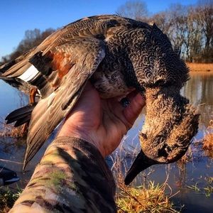 Meet your Posher, Richard